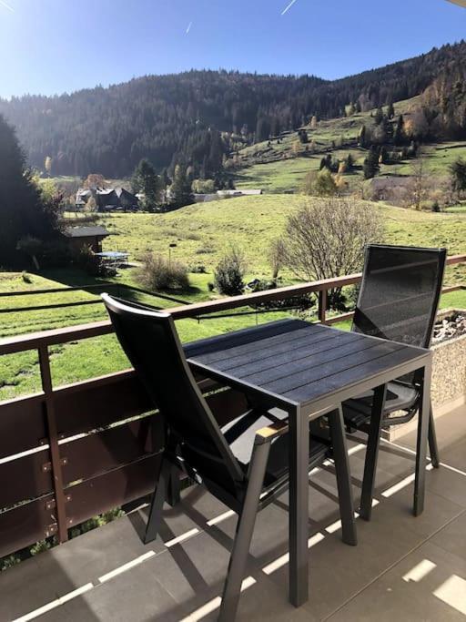 Schwarzwald Loft Menzenschwand Apartman Kültér fotó