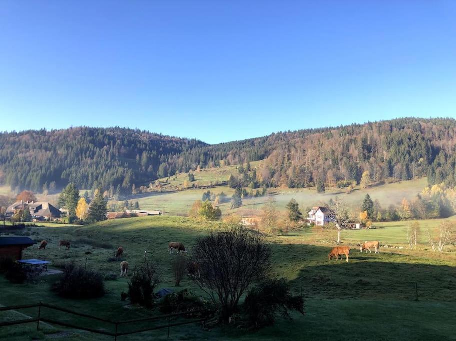 Schwarzwald Loft Menzenschwand Apartman Kültér fotó